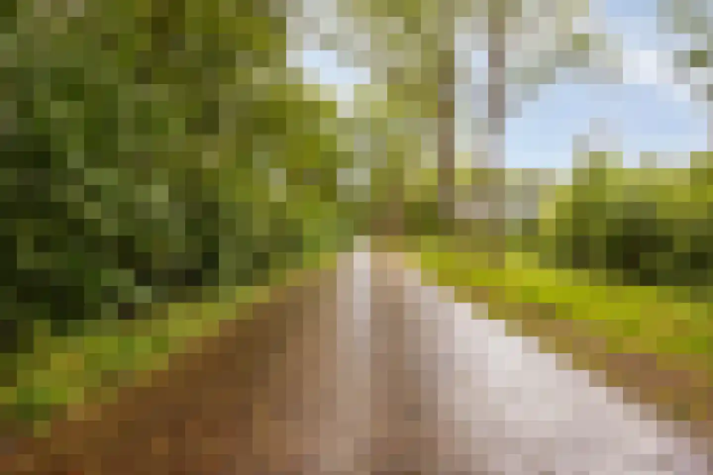 Valkenhof 30 Made thumbnail 37