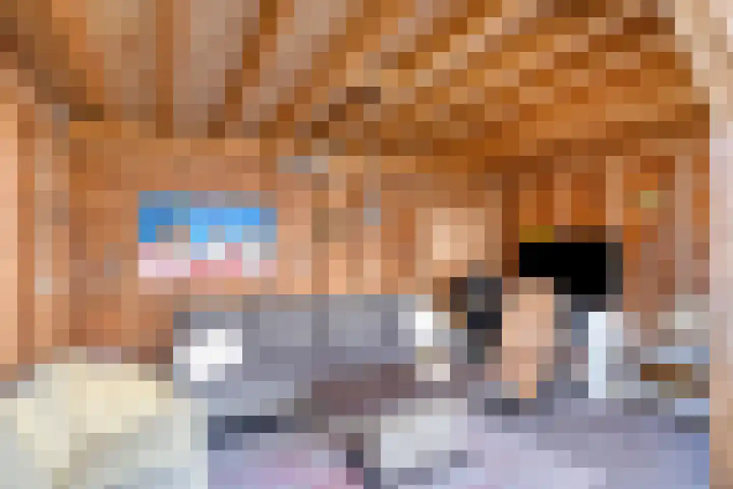 Valkenhof 30 Made thumbnail 4