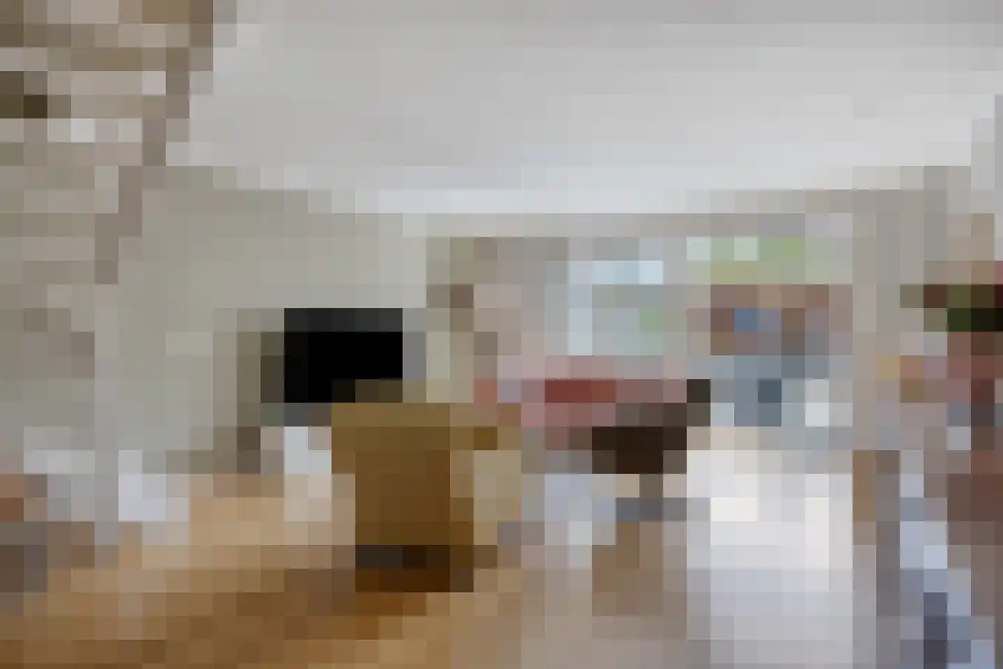 Valkenhof 30 Made thumbnail 8