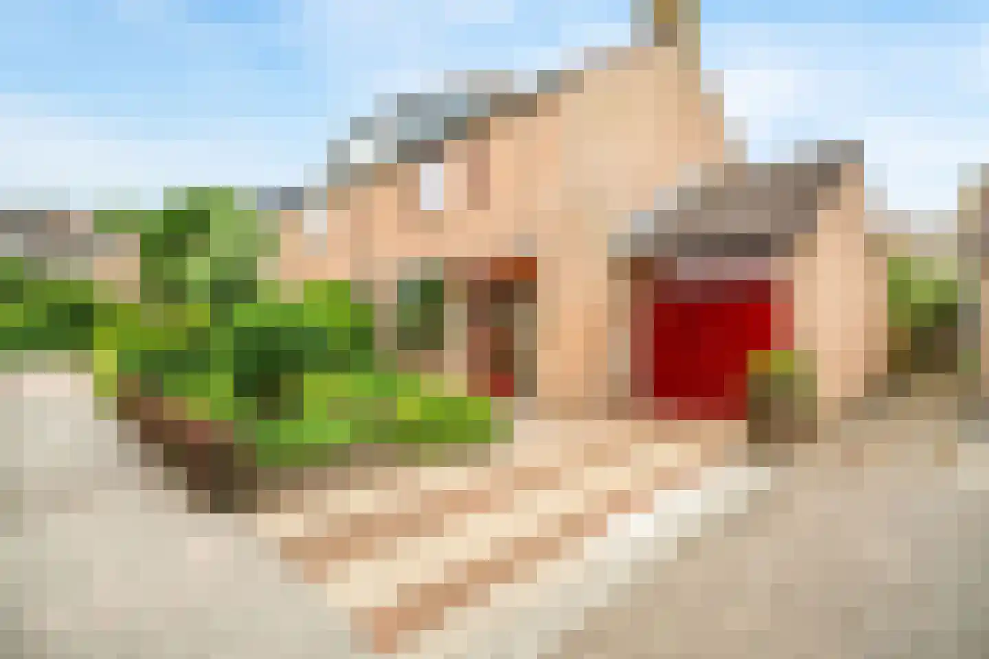 Valkenhof 34 Nijkerk thumbnail 10