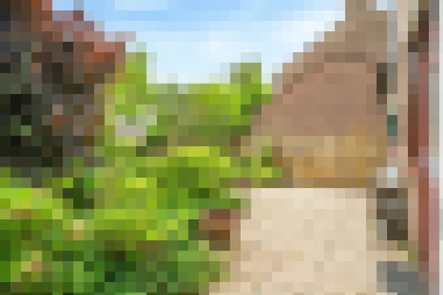Valkenhof 34 Nijkerk thumbnail 38