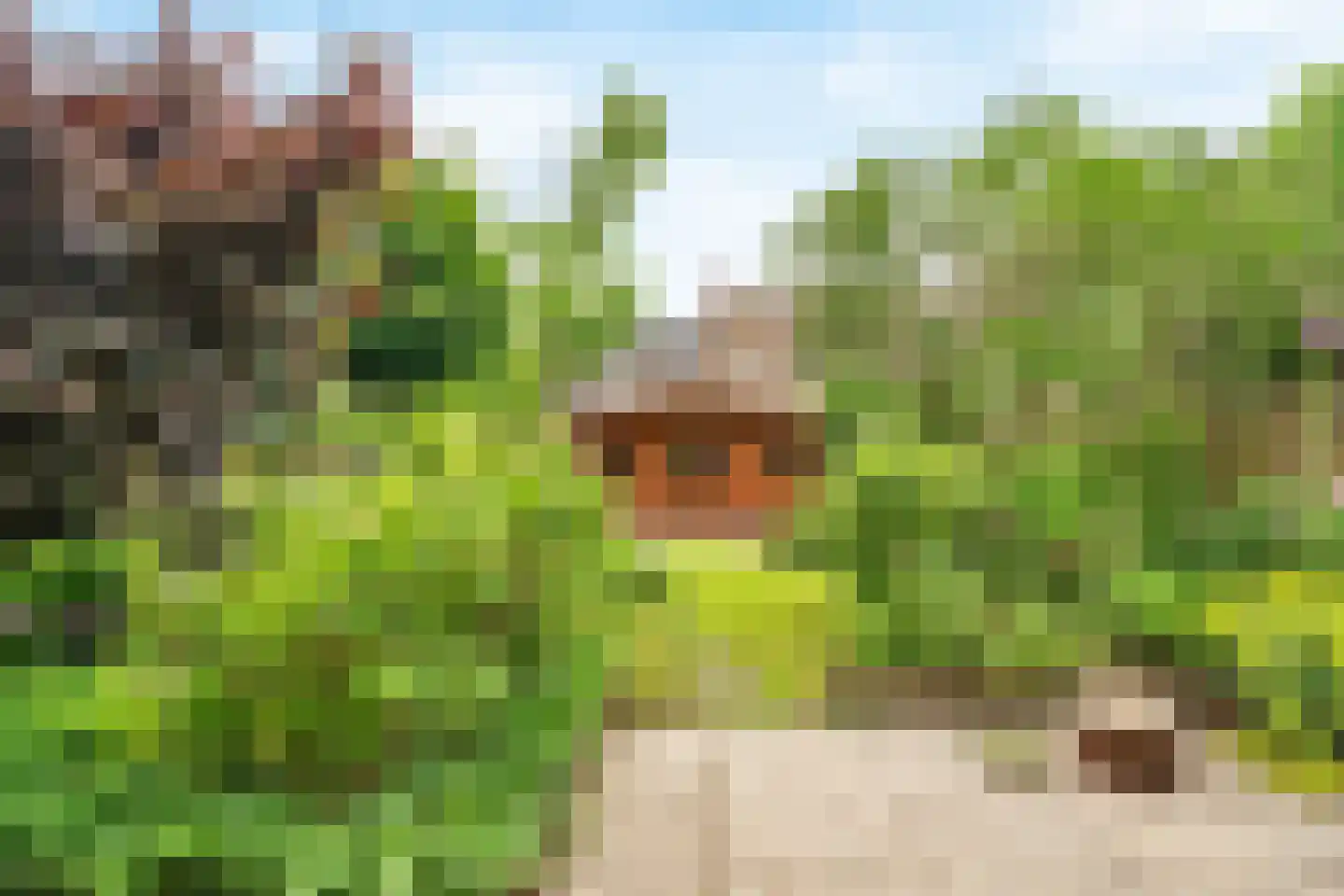 Valkenhof 34 Nijkerk thumbnail 4