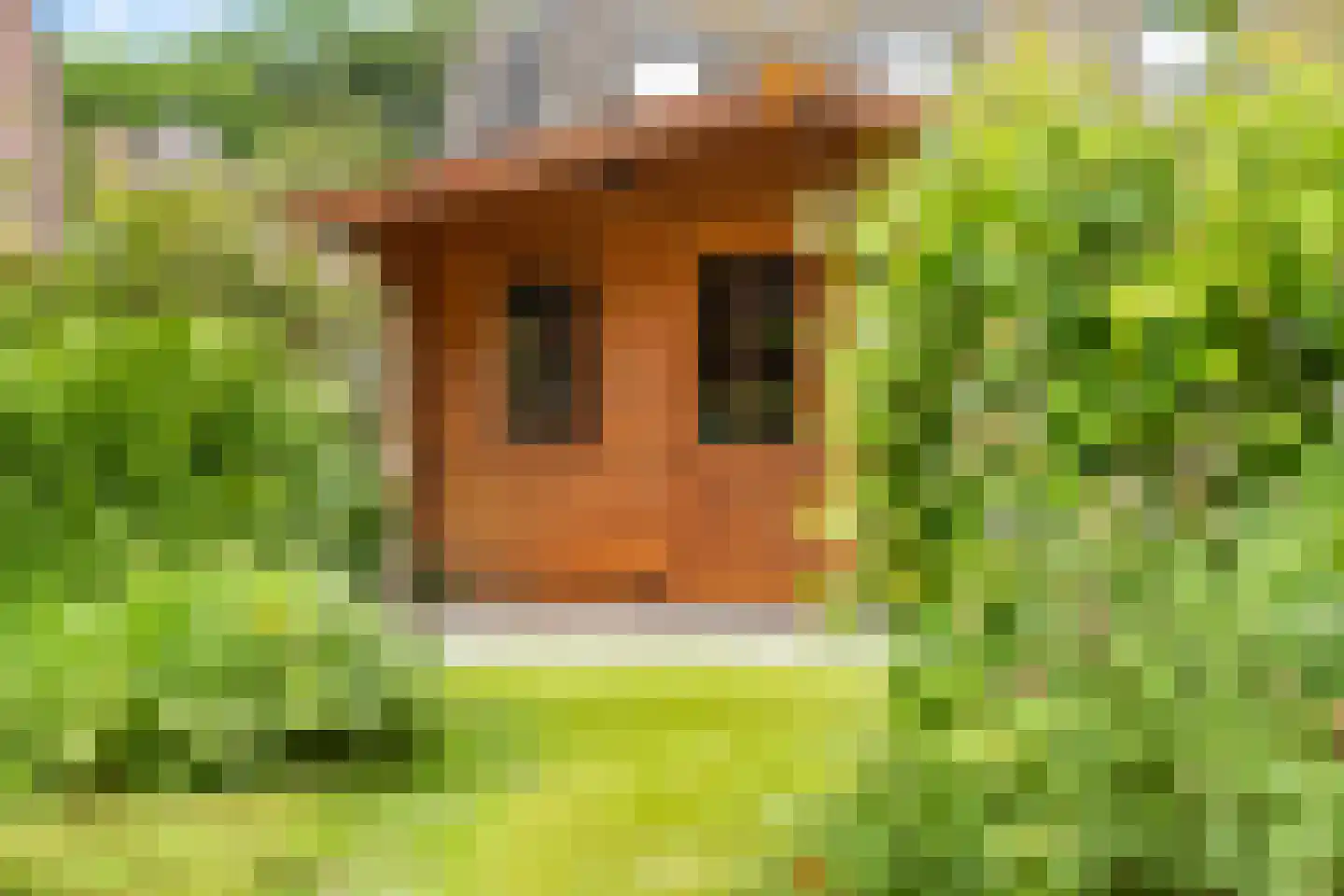 Valkenhof 34 Nijkerk thumbnail 41