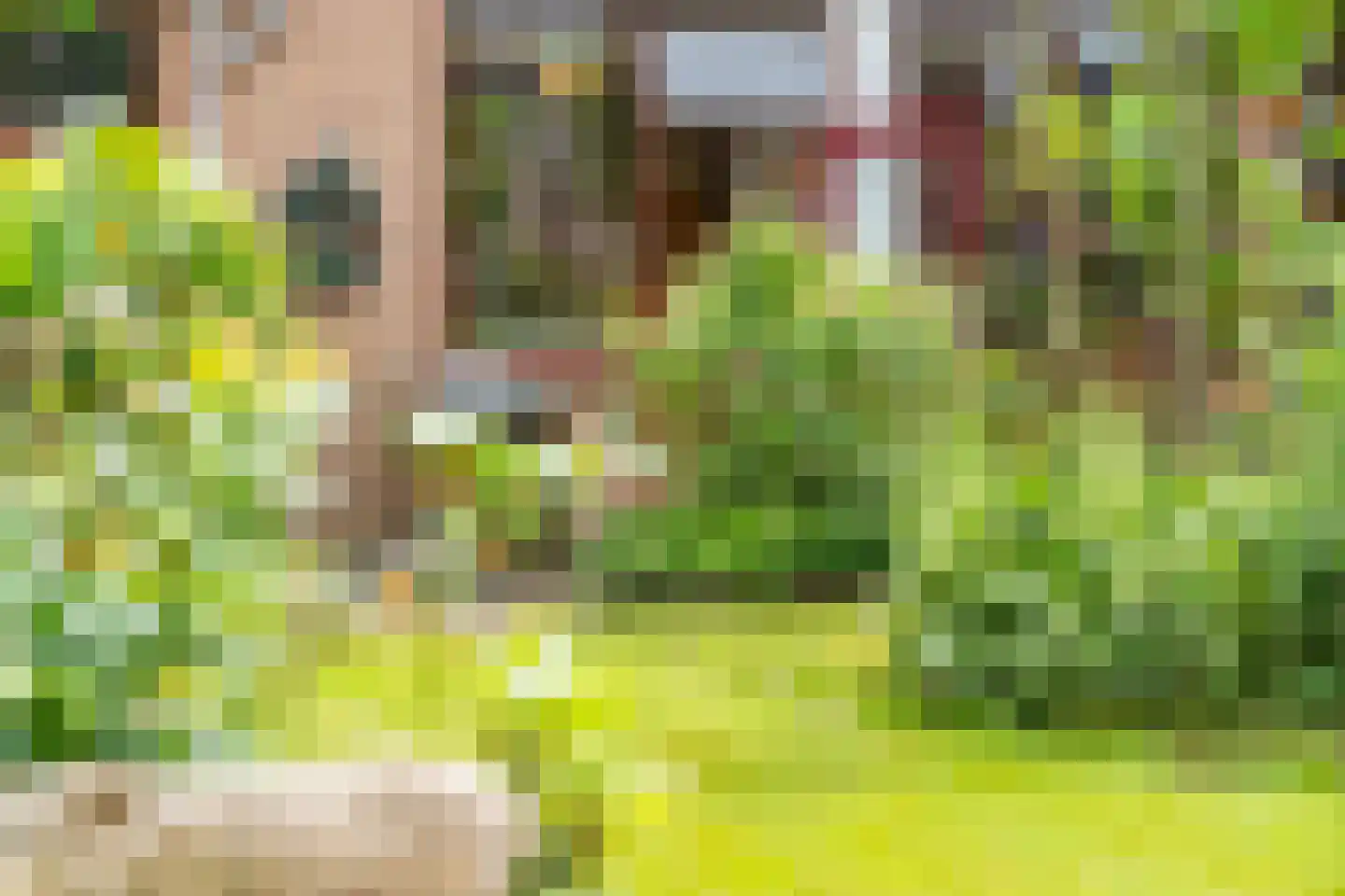 Valkenhof 34 Nijkerk thumbnail 42