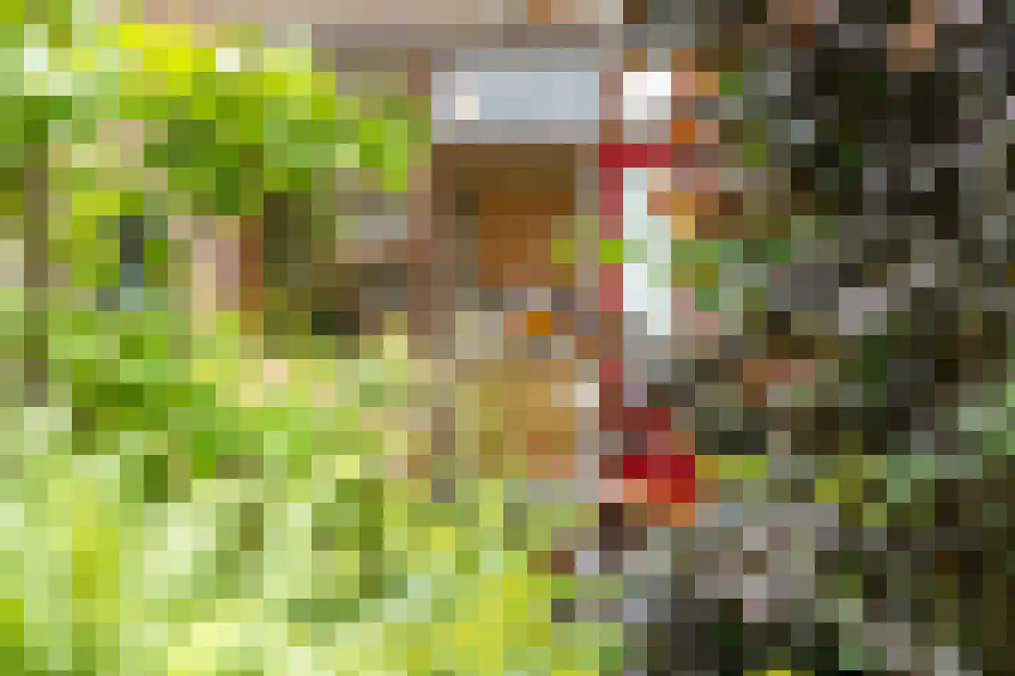 Valkenhof 34 Nijkerk thumbnail 43