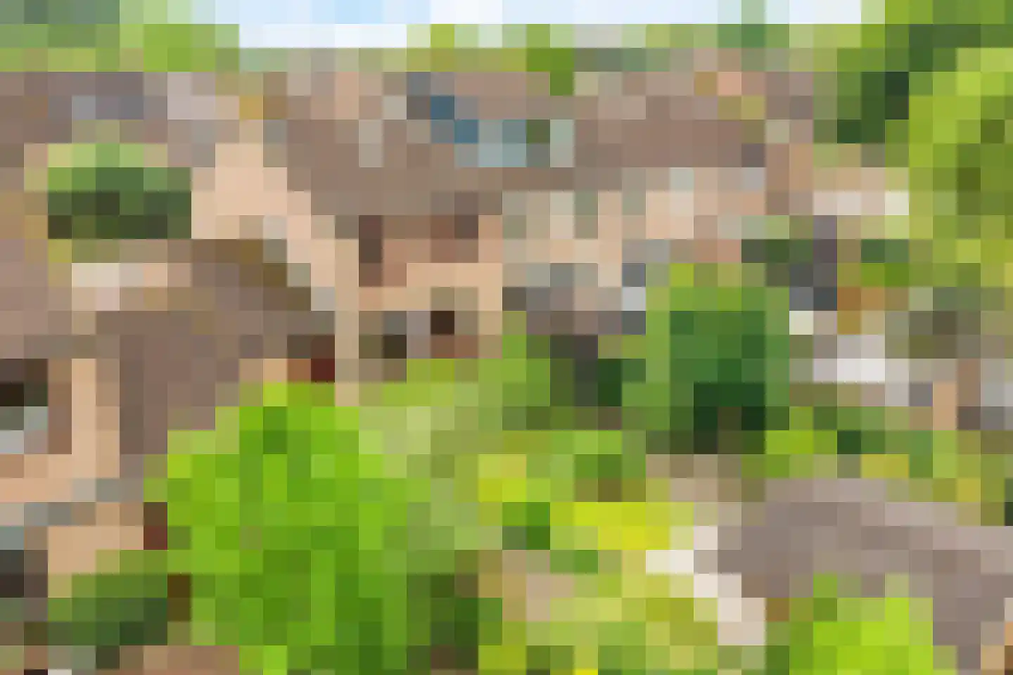 Valkenhof 34 Nijkerk thumbnail 48