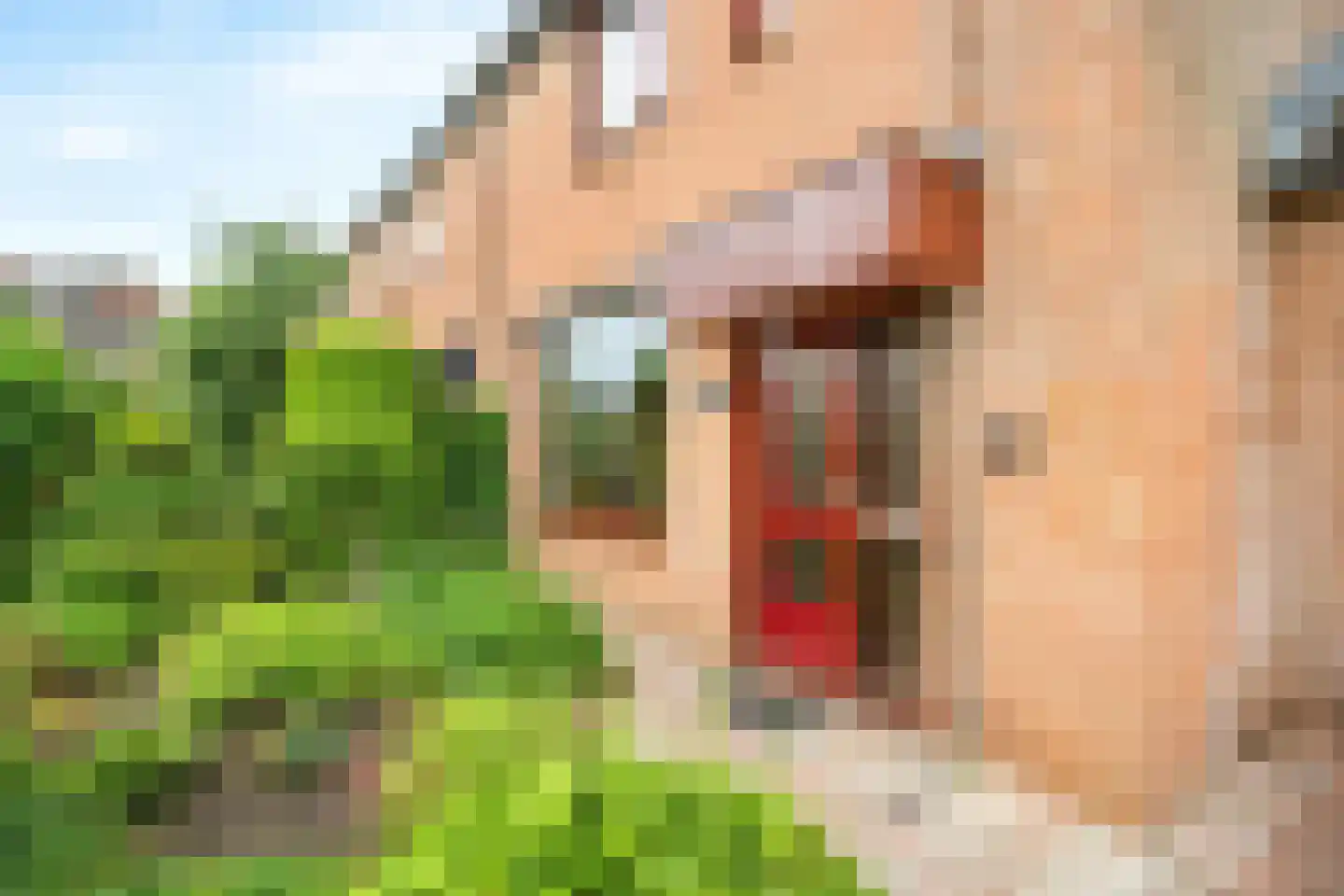 Valkenhof 34 Nijkerk thumbnail 6