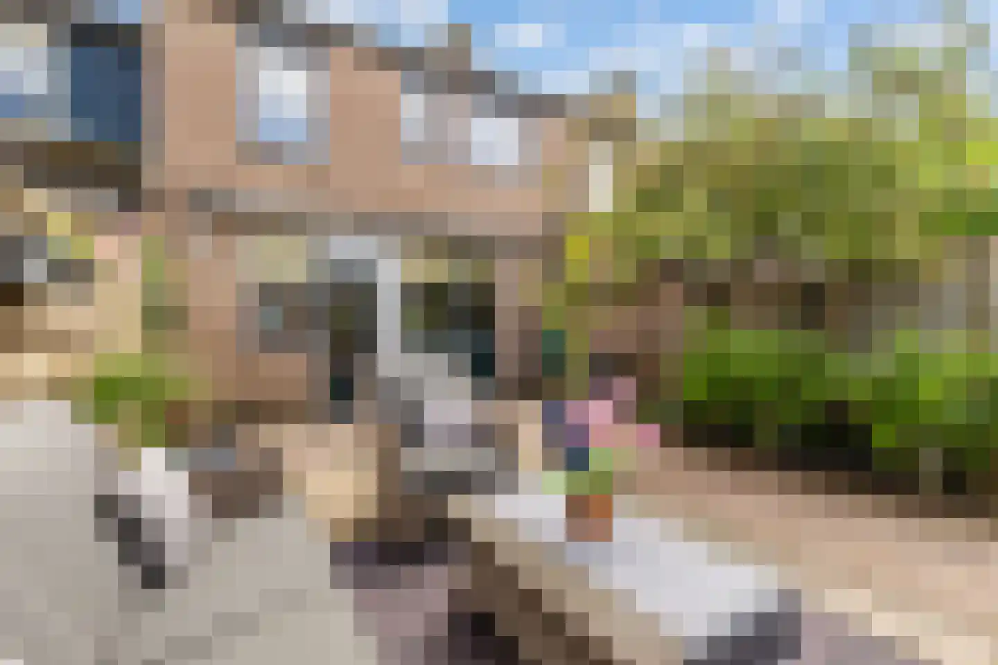 Valkenhof 38 Nijkerk thumbnail 17
