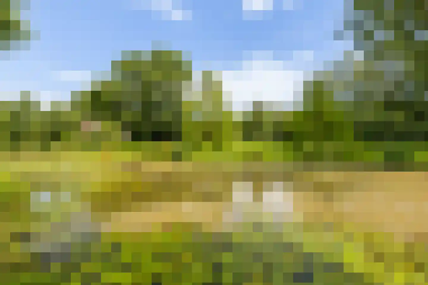 Valkenhof 38 Nijkerk thumbnail 28