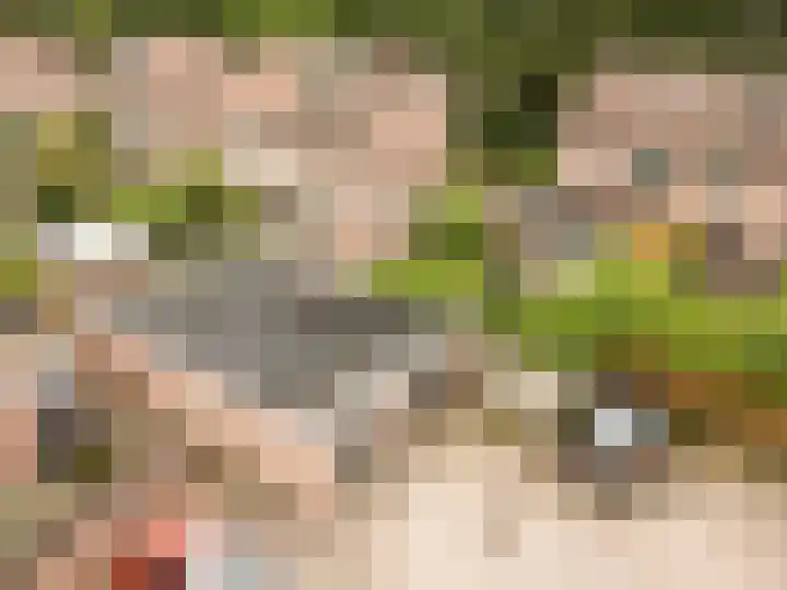 Valkenhof 51 Ermelo thumbnail 30