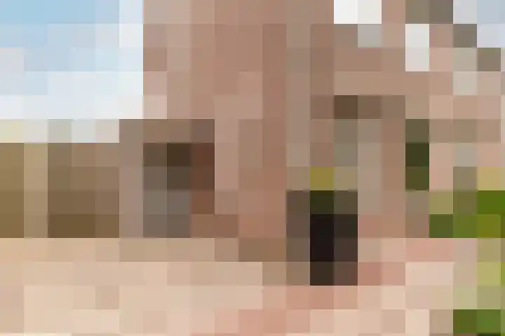 Valkenhof 51 Ermelo thumbnail 31