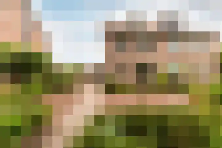 Valkenhof 51 Ermelo thumbnail 32
