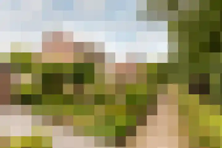 Valkenhof 51 Ermelo thumbnail 33