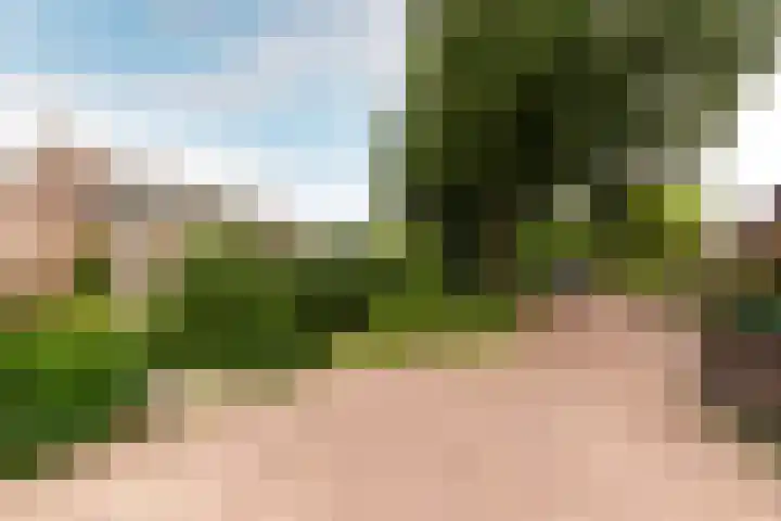 Valkenhof 51 Ermelo thumbnail 34