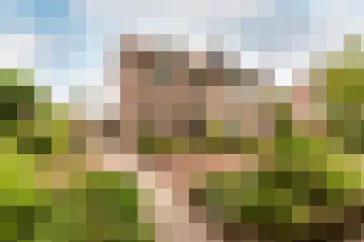 Valkenhof 51 Ermelo thumbnail 41