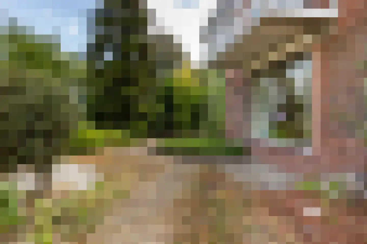 Valkenhof 51 Varsseveld thumbnail 38