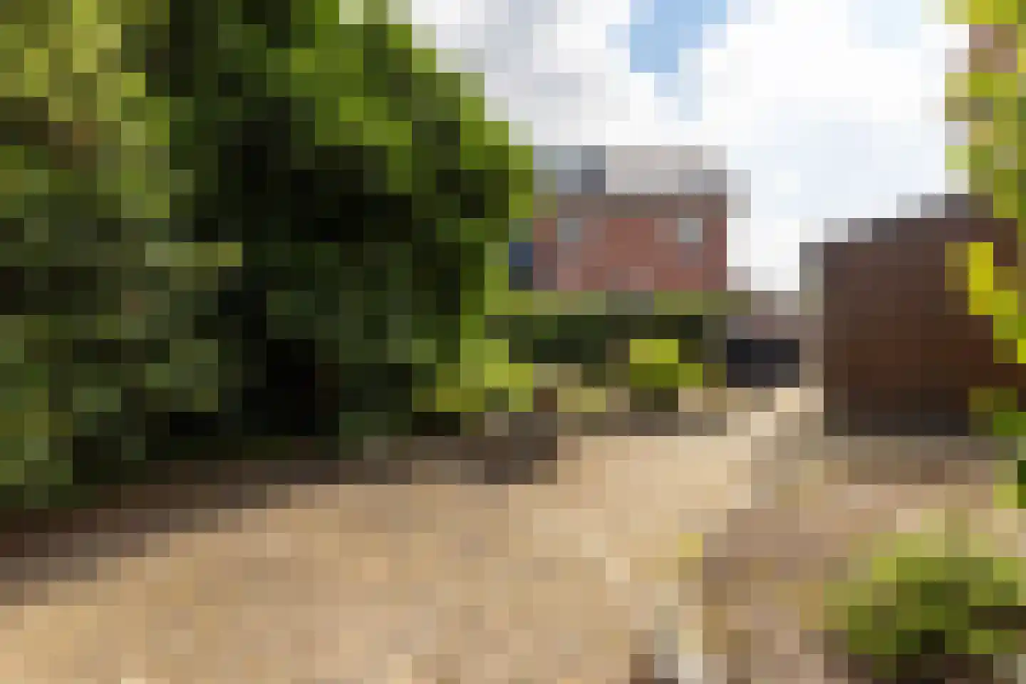 Valkenhof 51 Varsseveld thumbnail 40