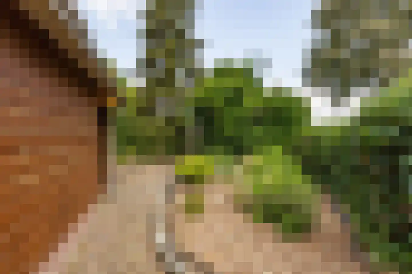Valkenhof 51 Varsseveld thumbnail 46