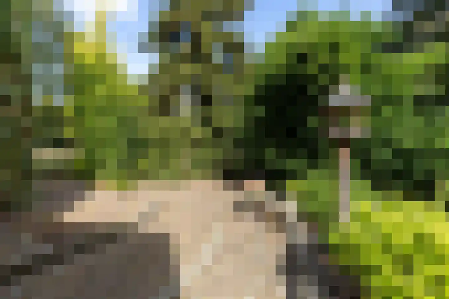 Valkenhof 51 Varsseveld thumbnail 47