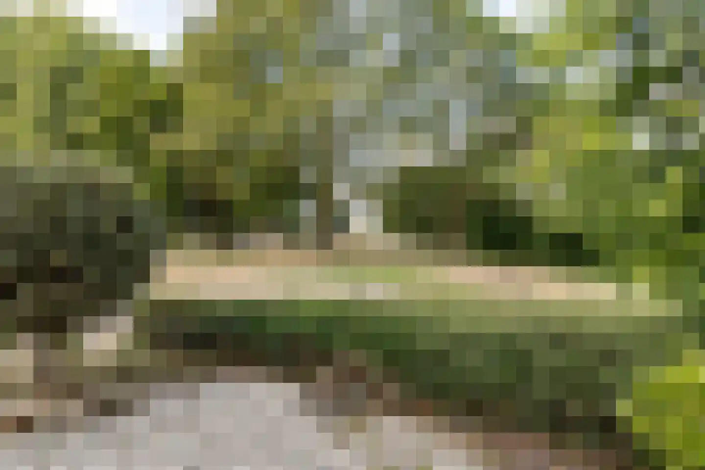 Valkenhof 51 Varsseveld thumbnail 48