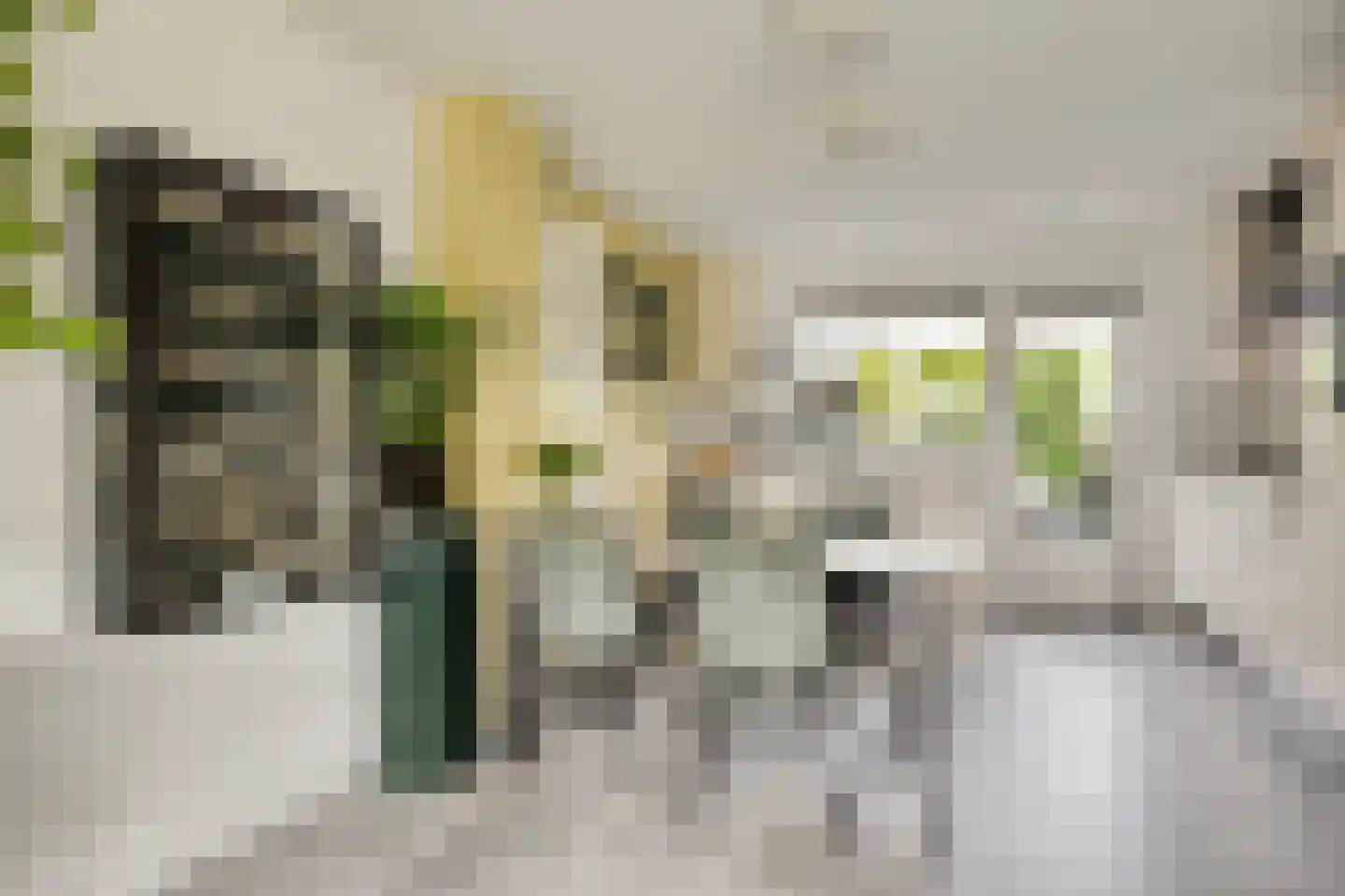 Valkenhof 6 Anna Paulowna thumbnail 12