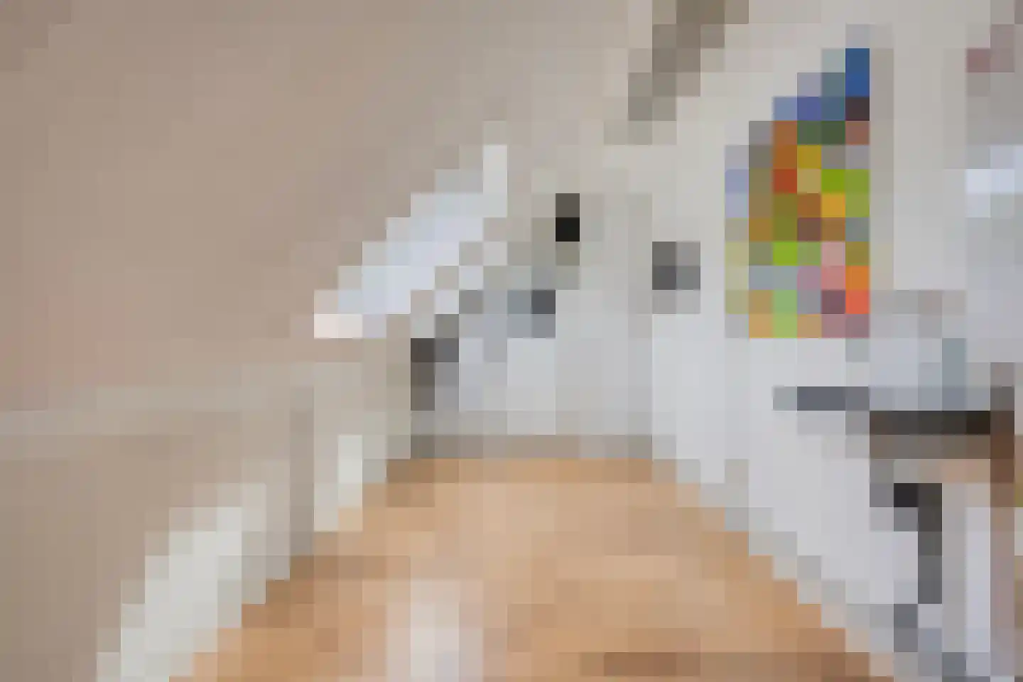 Valkenhof 6 Anna Paulowna thumbnail 29