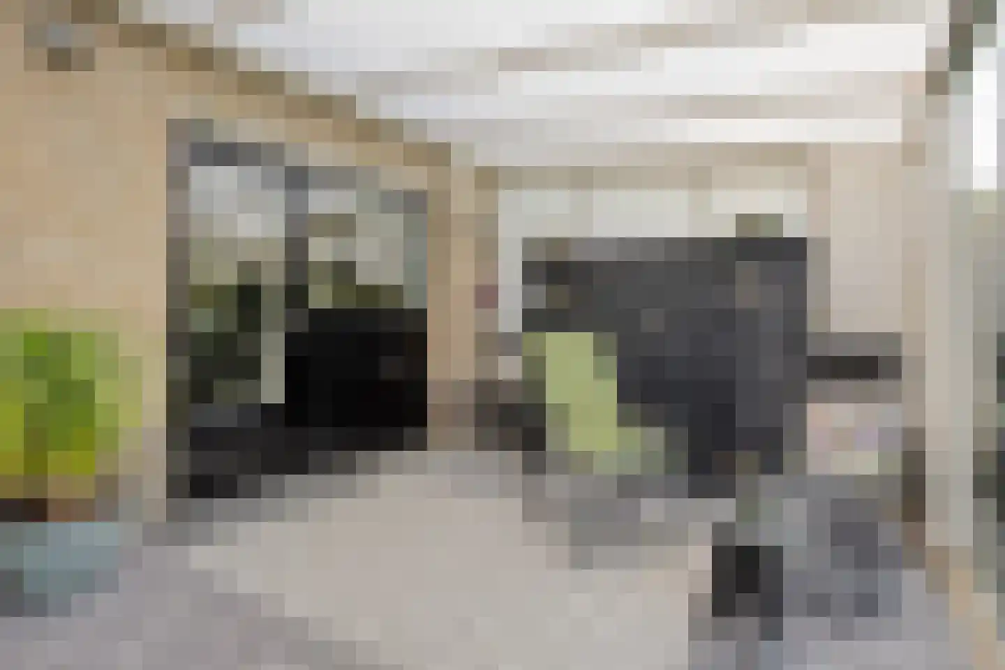 Valkenhof 6 Anna Paulowna thumbnail 33