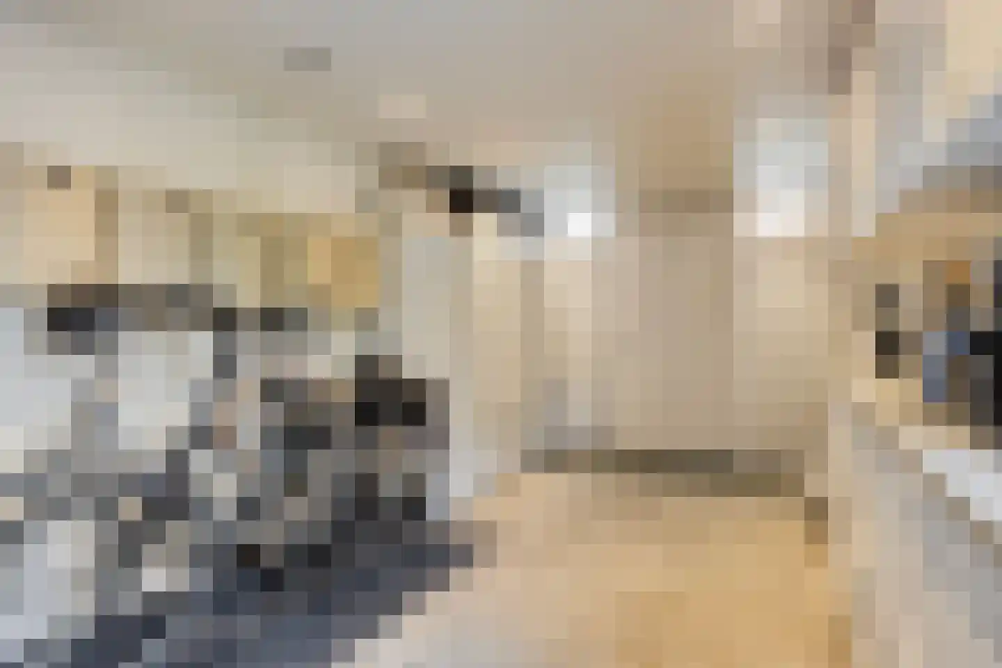 Valkenhof 6 Anna Paulowna thumbnail 40