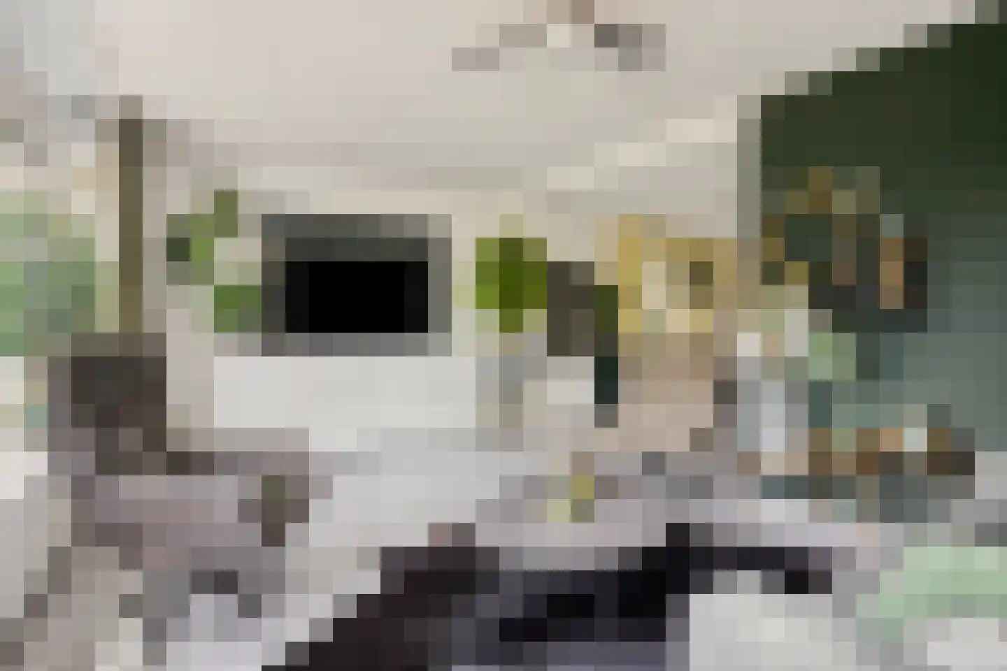 Valkenhof 6 Anna Paulowna thumbnail 9