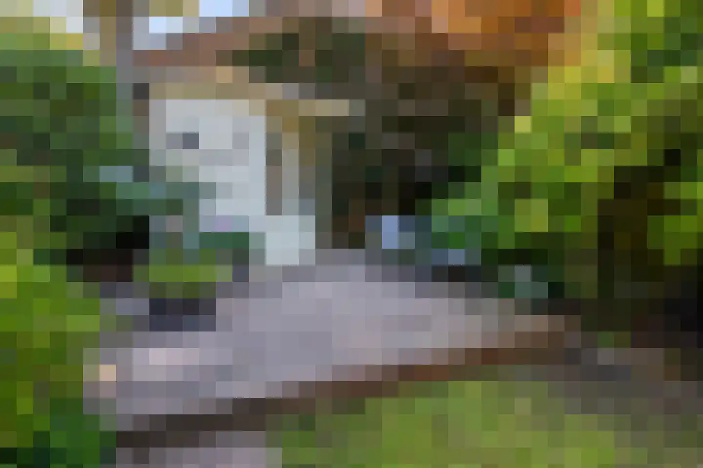 Valkenhof 71 Nijkerk thumbnail 33
