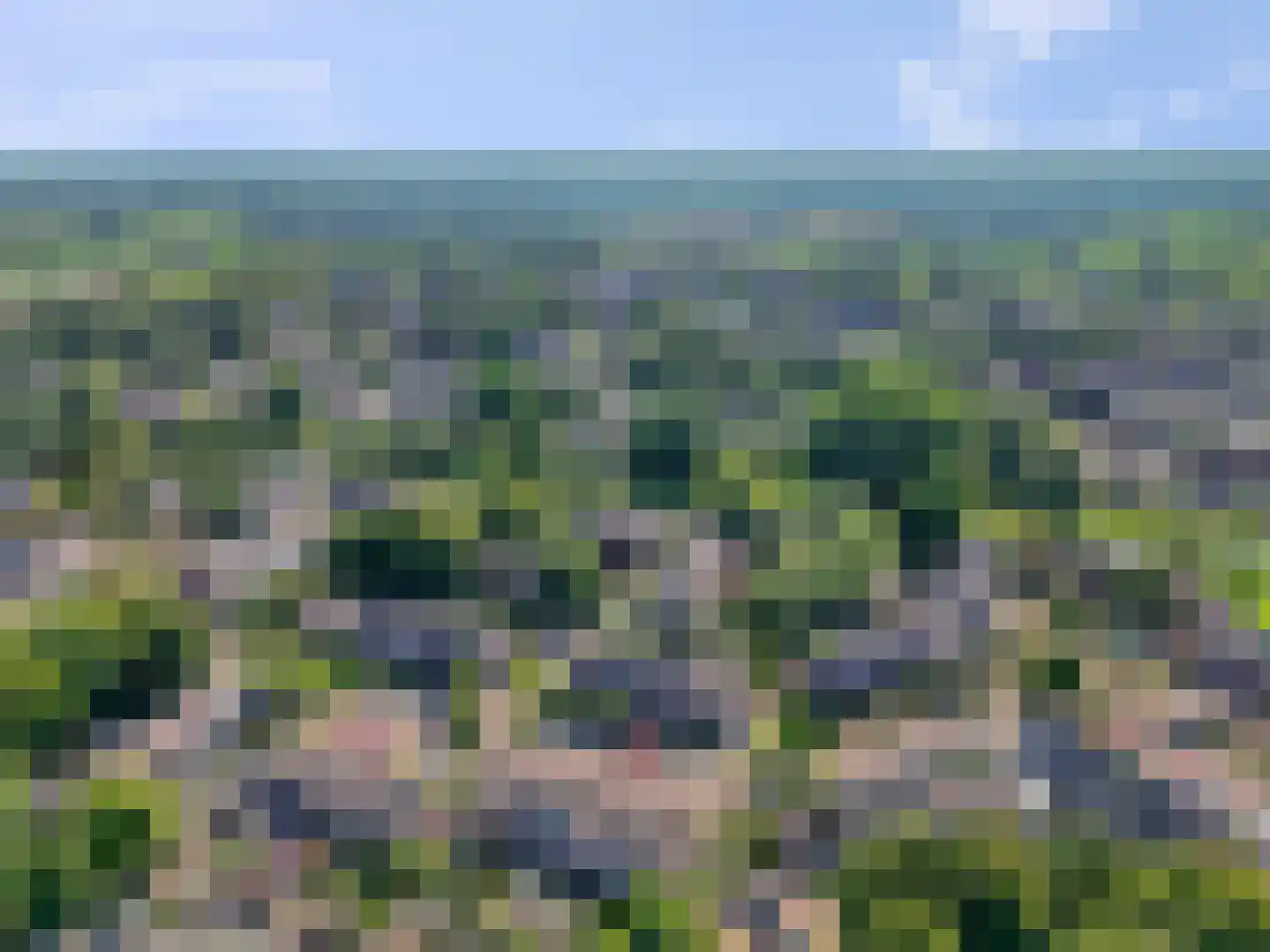 Valkenhof 71 Nijkerk thumbnail 48