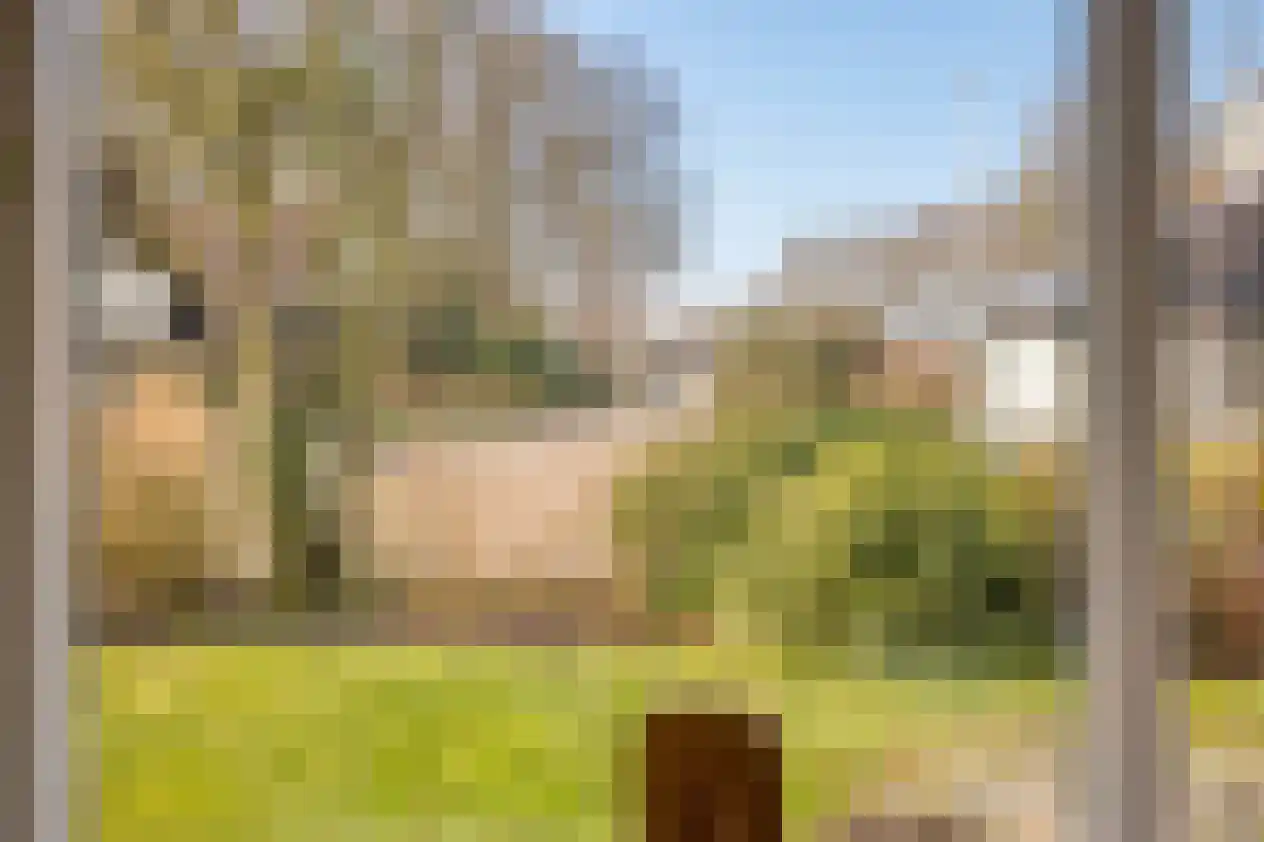 Valkenhof 8 Borne thumbnail 10