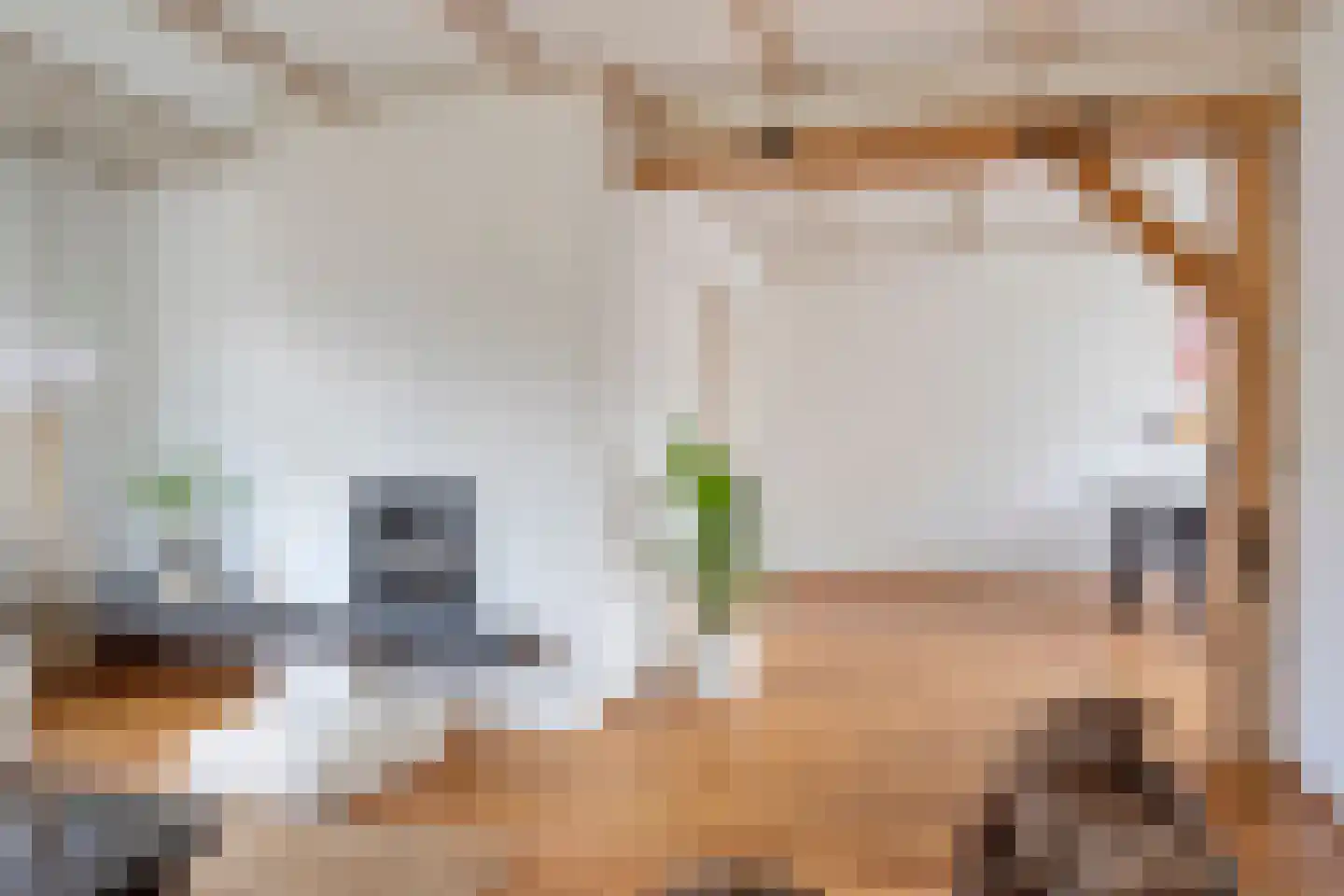 Valkenhof 8 Borne thumbnail 12