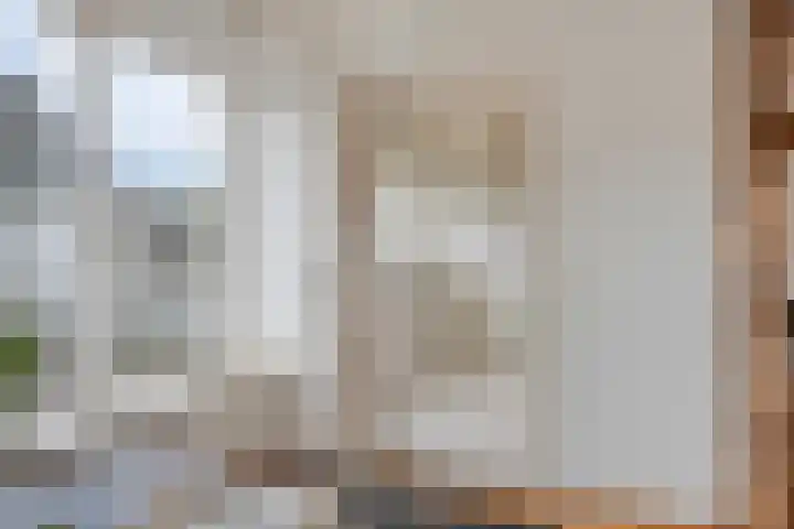 Valkenhof 8 Borne thumbnail 15