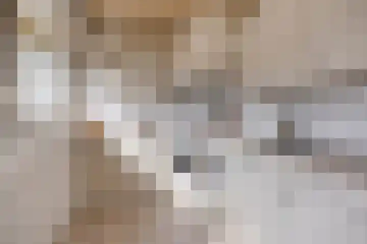 Valkenhof 8 Borne thumbnail 16