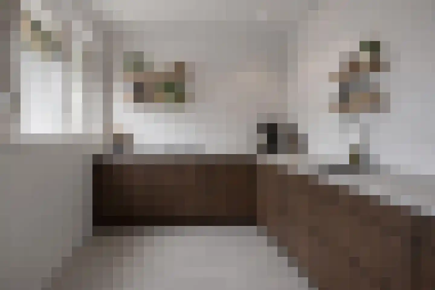 Valkenhof 8 Borne thumbnail 17