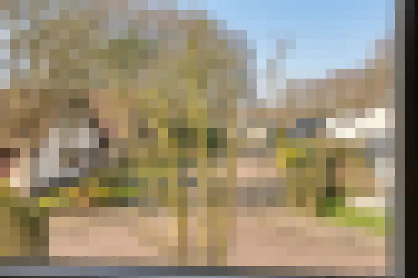Valkenhof 8 Borne thumbnail 29