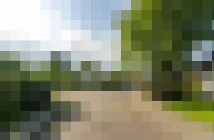 Valkenhof 8 Borne thumbnail 40