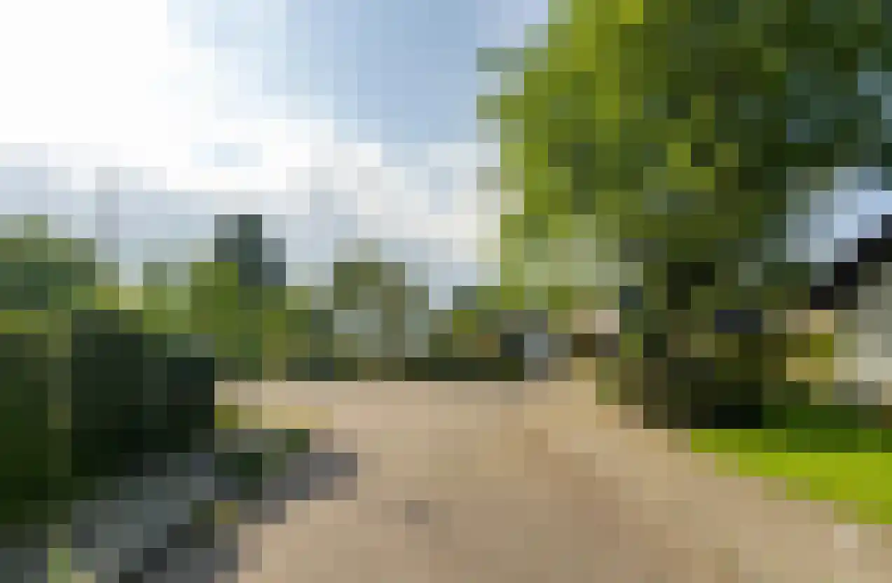 Valkenhof 8 Borne thumbnail 40