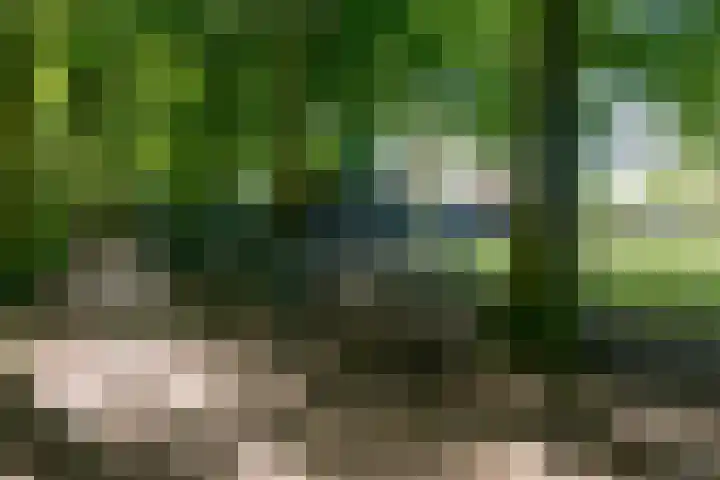 Valkenhof 8 Borne thumbnail 42
