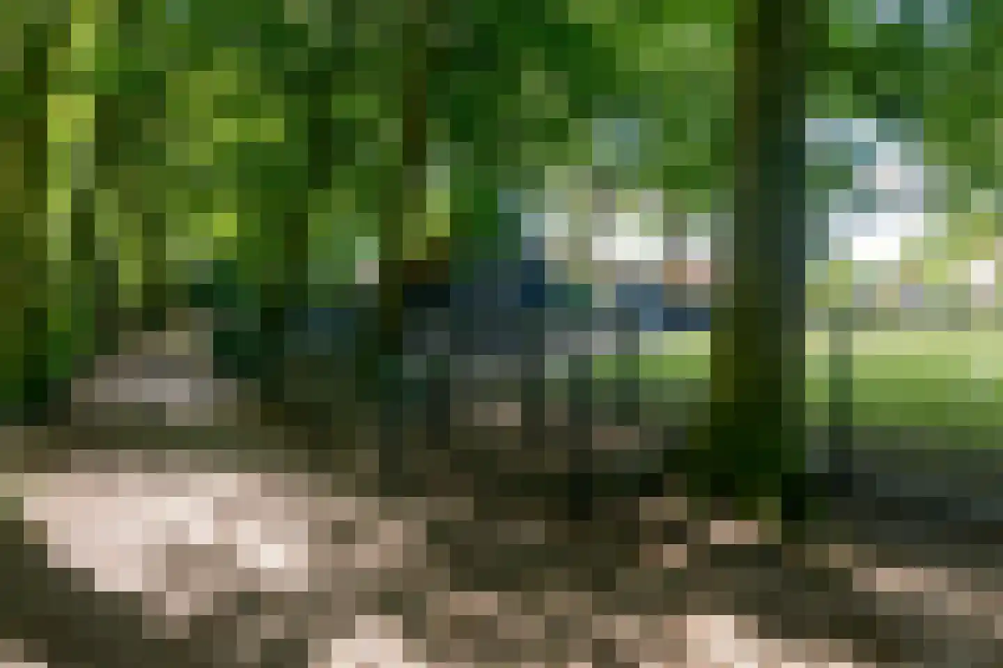 Valkenhof 8 Borne thumbnail 42