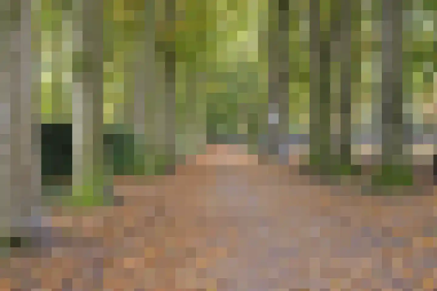 Valkenhof 8 Borne thumbnail 43