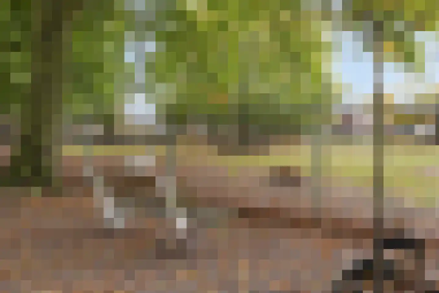 Valkenhof 8 Borne thumbnail 44