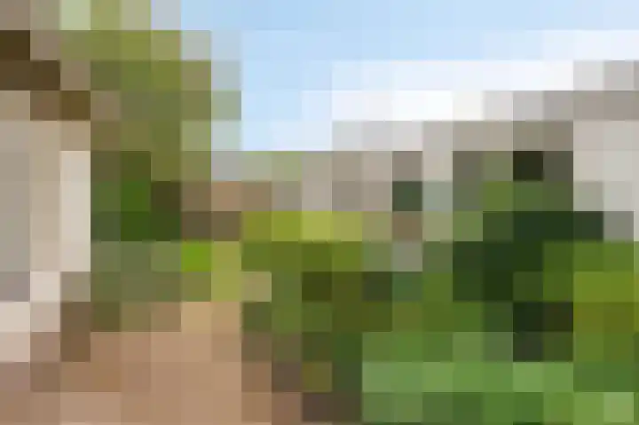 Valkenhof 8 Borne thumbnail 5