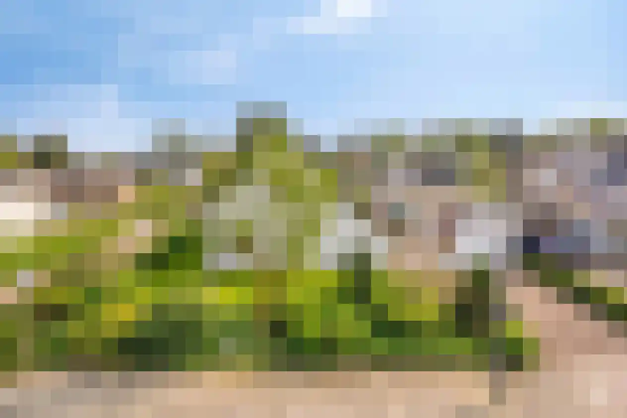 Valkenhof 8 Borne thumbnail 6