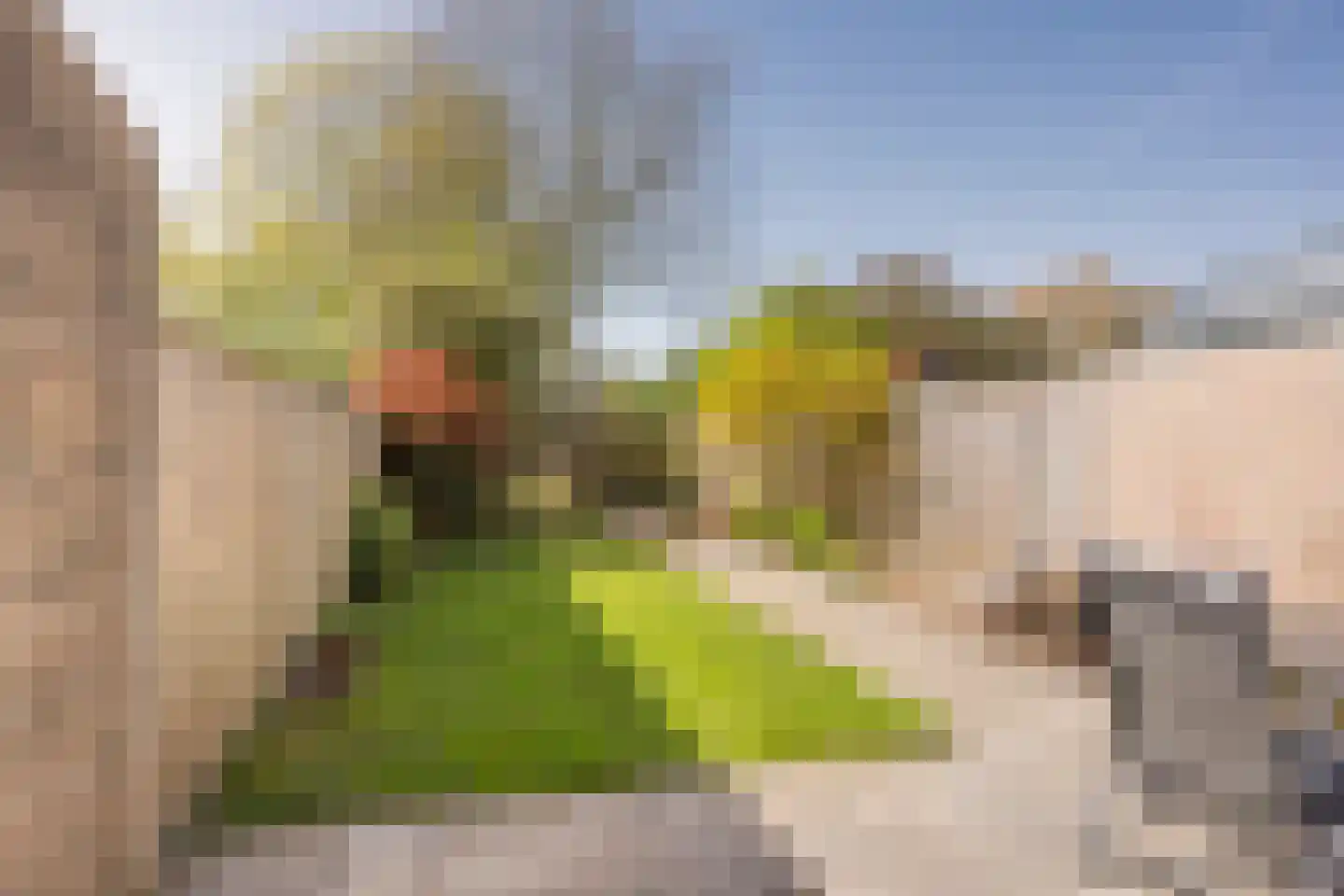 Valkenhof 85 Nijkerk thumbnail 30
