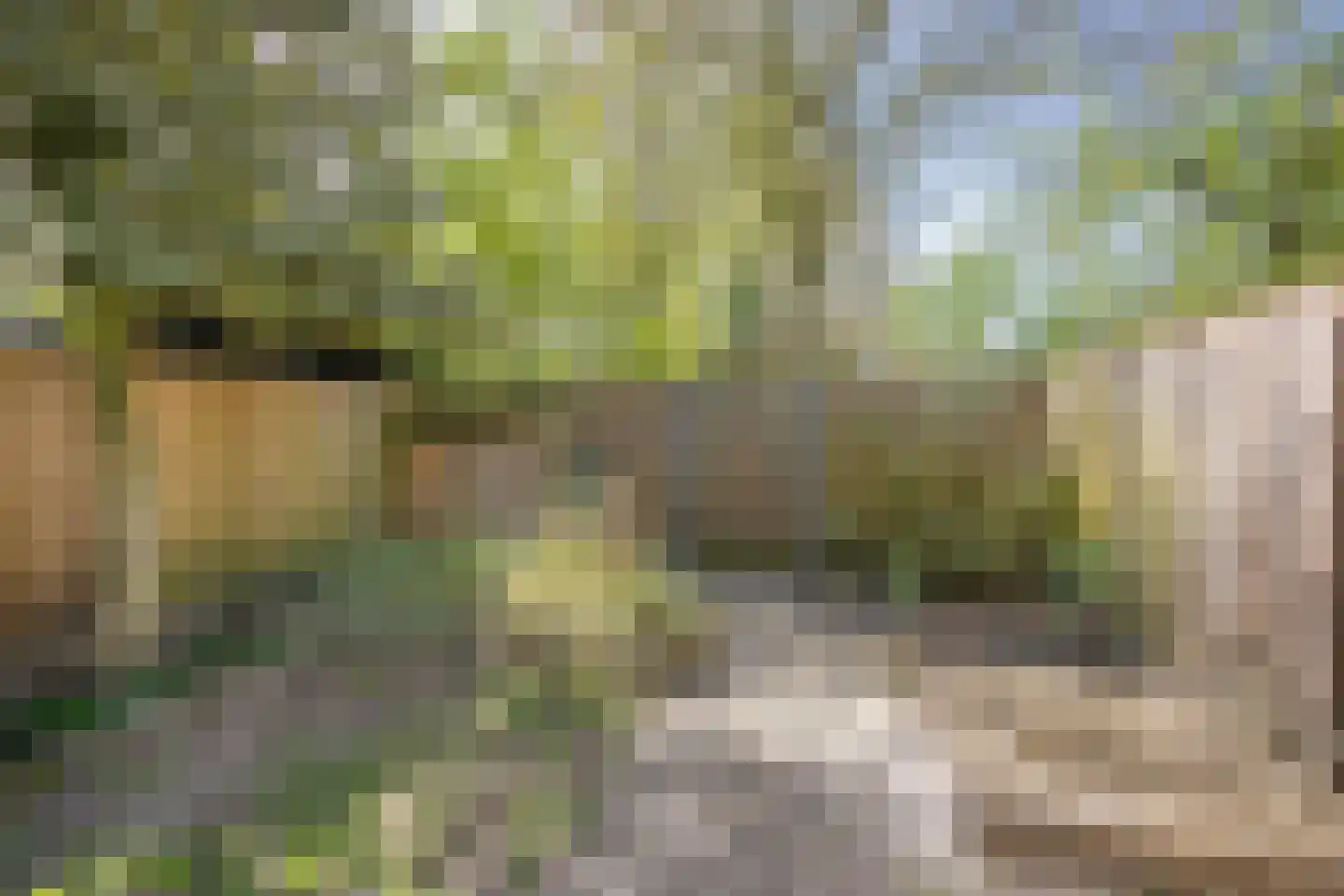 Valkenhof 85 Nijkerk thumbnail 32