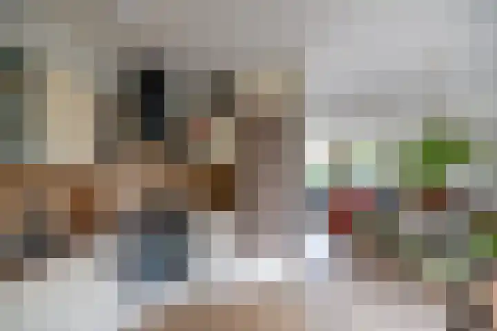 Valkenhorst 12 Delfzijl thumbnail 15