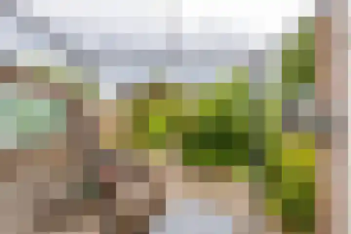 Valkenhorst 12 Delfzijl thumbnail 30