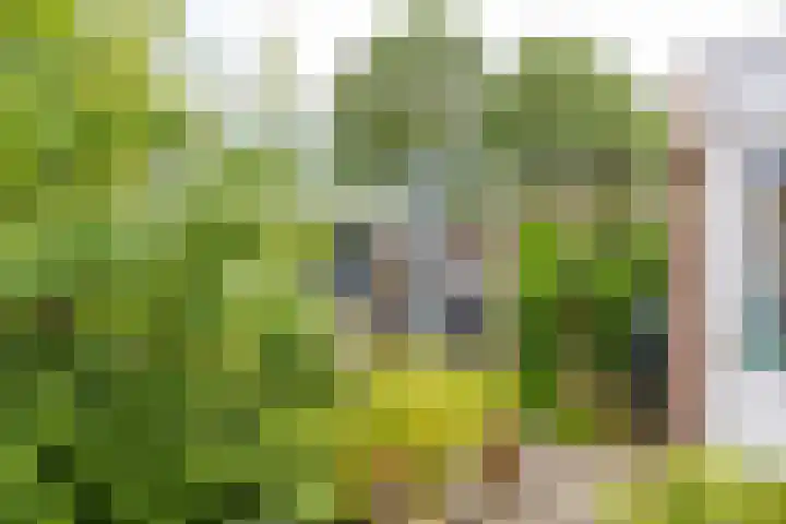 Valkenhorst 12 Delfzijl thumbnail 31
